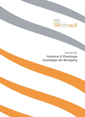 FM 24 - Lernskript Anatomie & Physiologie Grundlagen der Bewegung